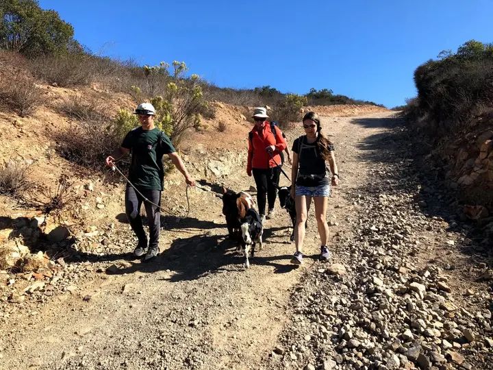 Melómano Hike! gallery photo