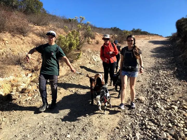 Melómano Hike! gallery photo