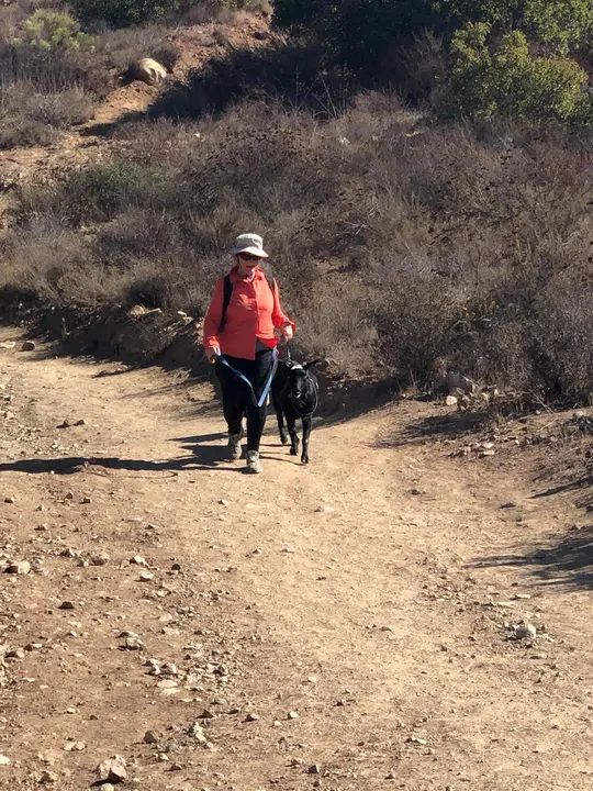 Melómano Hike! gallery photo