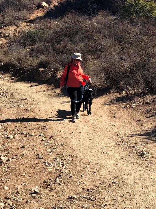 Melómano Hike! gallery photo