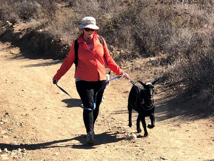 Melómano Hike! gallery photo