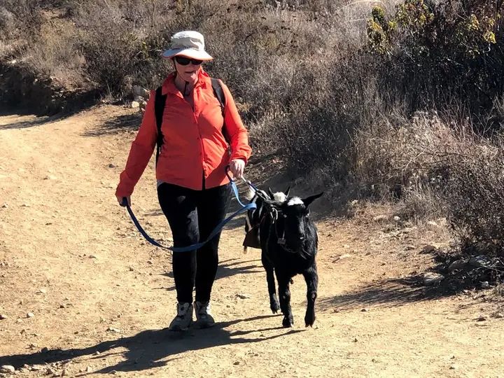 Melómano Hike! gallery photo