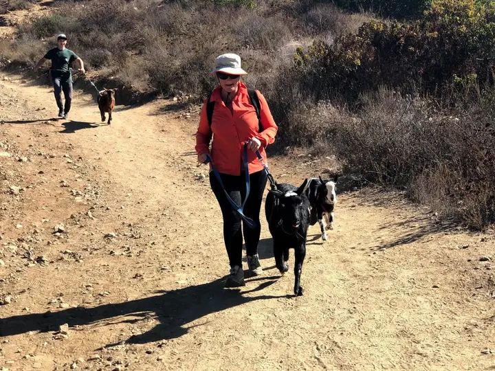 Melómano Hike! gallery photo