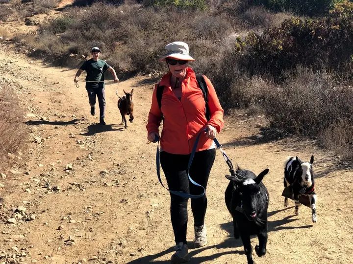 Melómano Hike! gallery photo