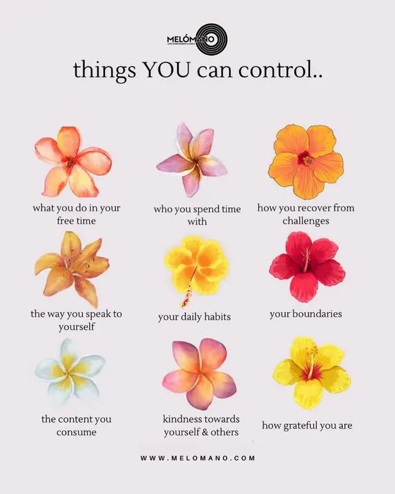 ✨ Motivational Monday! ✨ In dance—and in life—there’s so much you can control. Your practice, your mindset, your energy, your boundaries… these choices shape the dancer you