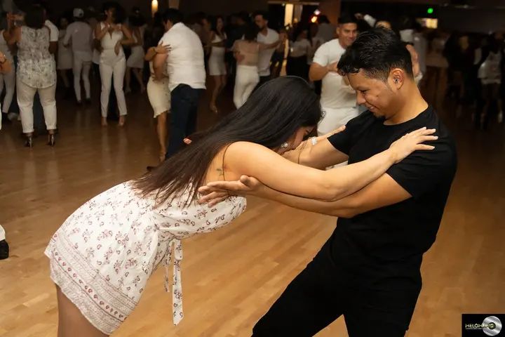 December 2019 Melomano Winter White Debut gallery photo