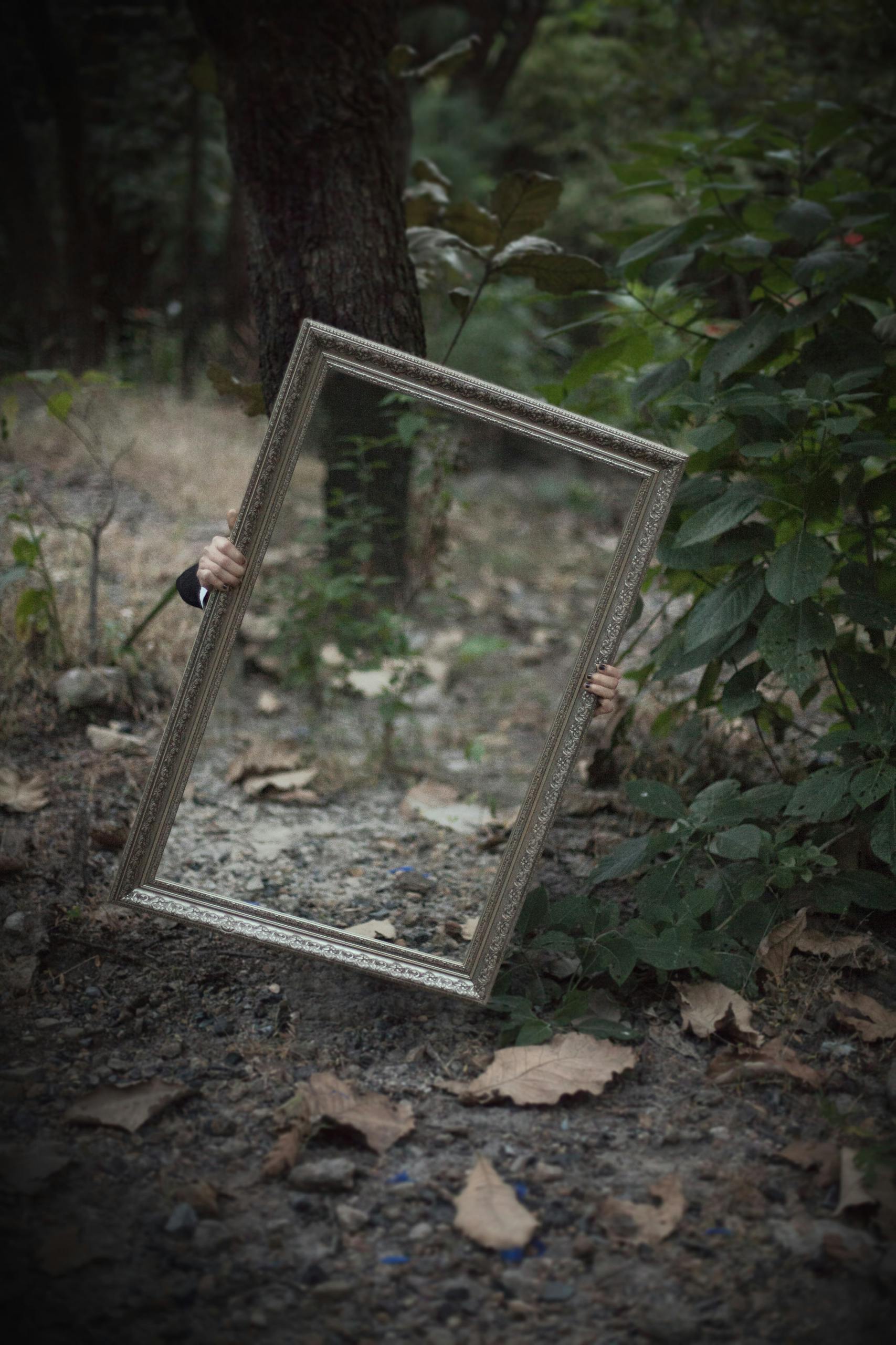 A mystical scene with a mirror reflecting forest foliage, hands mysteriously holding it.